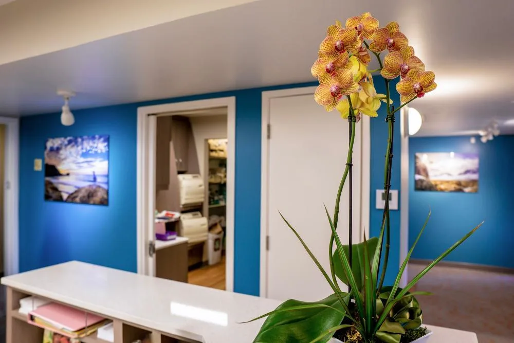 Flower vase on a table at Cabrillo Family Dental Care