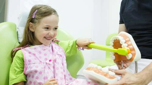 A child brushing a dental model